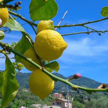 Villa Casa Limoni Monterosso al Mare Exterior foto