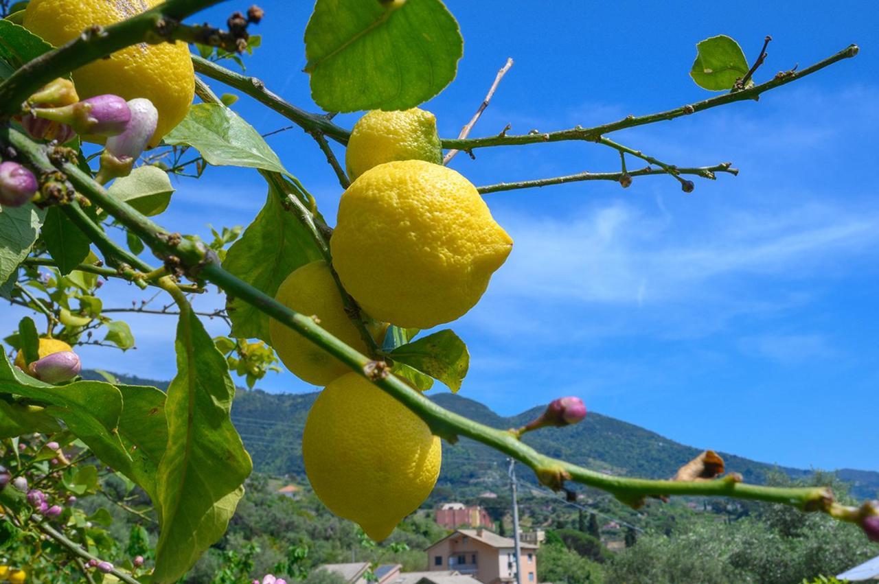 Villa Casa Limoni Monterosso al Mare Exterior foto